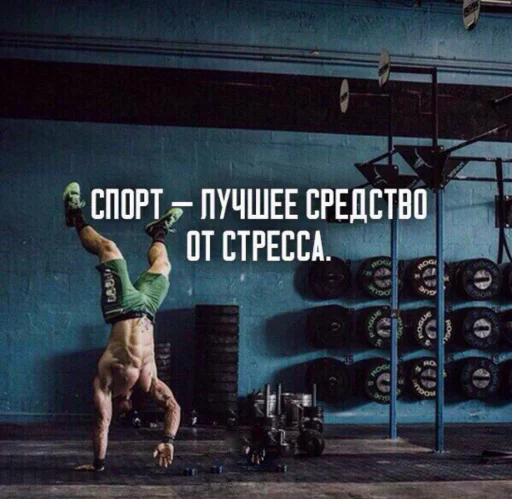 😎 Стикер «sportivnayazabava 2» для Telegram