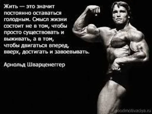 🤔 Стикер «sportivnayazabava 2» для Telegram