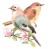 🐦 Эмодзи «Розовые буквы с обводкой» для Telegram