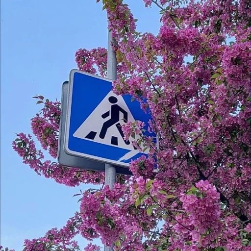 🌟 Стикер «spring aesthetic» для Telegram