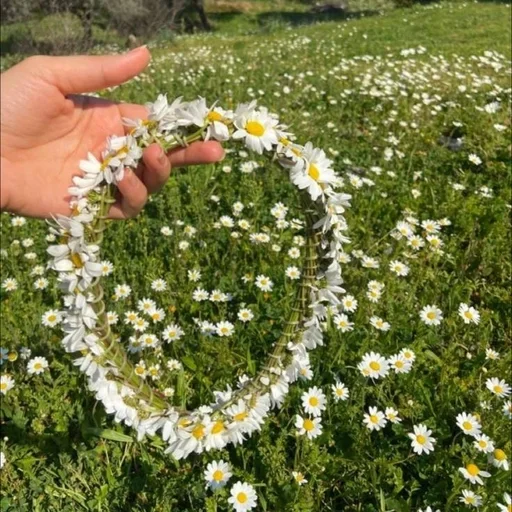 🌟 Стикер «spring aesthetic» для Telegram