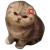Стикер 17 Весенний Набор
