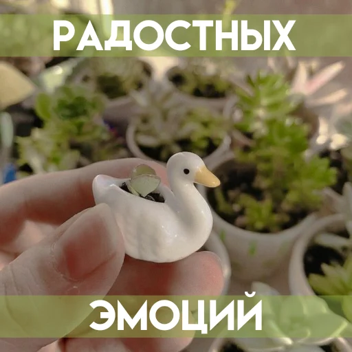 🤗 Стикер «Весенее» для Telegram
