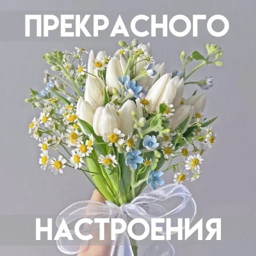 😊 Стикер «Весенее» для Telegram