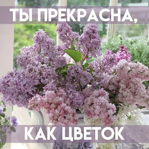 🌷 Стикер «Весенее» для Telegram
