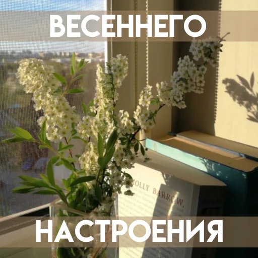 ☀️ Стикер «Весенее» для Telegram