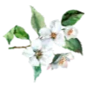 Стикер 7 🌷😀😀😀😀😀