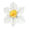 Стикер 5 🌷😀😀😀😀😀