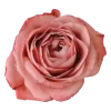 Стикер 6 🌷😀😀😀😀😀