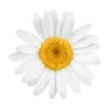 Стикер 3 🌷😀😀😀😀😀