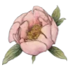 Стикер 9 🌷😀😀😀😀😀