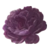 Стикер 2 🌷😀😀😀😀😀
