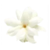 Стикер 12 🌷😀😀😀😀😀