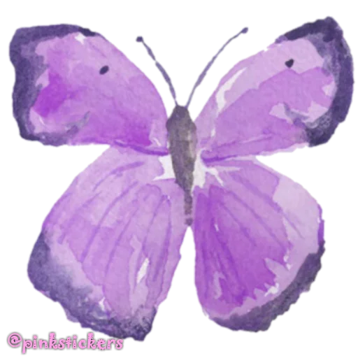 🦋 Стикер «spring» для Telegram