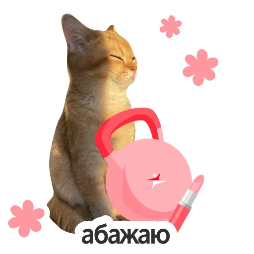 🏋️‍♀️ Стикер «Настроение весна» для Telegram