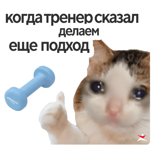 🥲 Стикер «Настроение весна» для Telegram