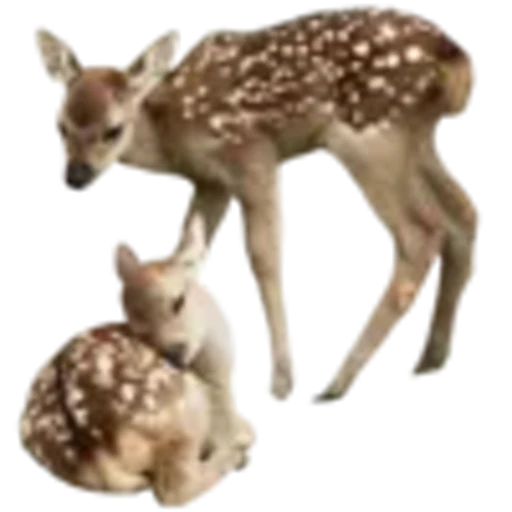 🦌 Эмодзи «Spring vibe» для Telegram