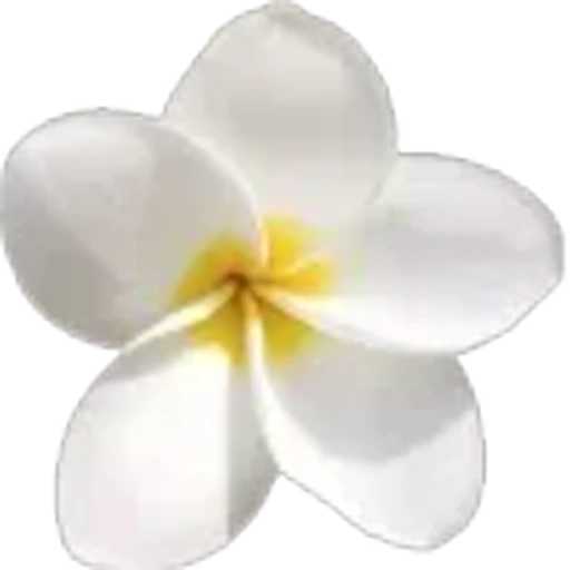🤩 Эмодзи «Spring vibe» для Telegram