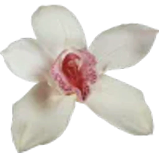 💕 Эмодзи «Spring vibe» для Telegram