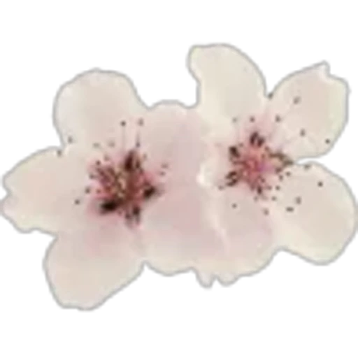 🤩 Эмодзи «Spring vibe» для Telegram