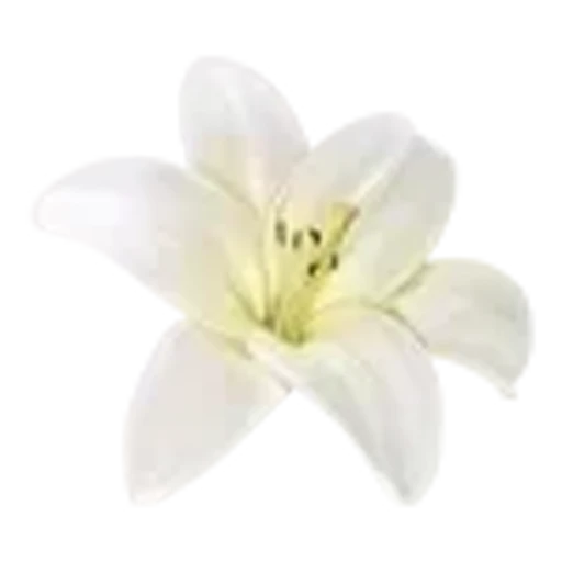 🌟 Эмодзи «Spring vibe» для Telegram