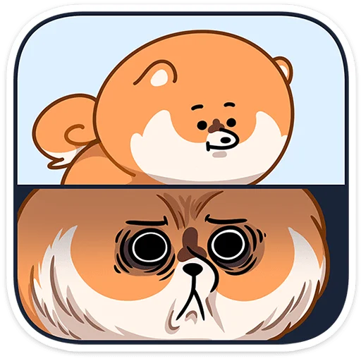 😨 Стикер «Шпиц Шприц» для Telegram