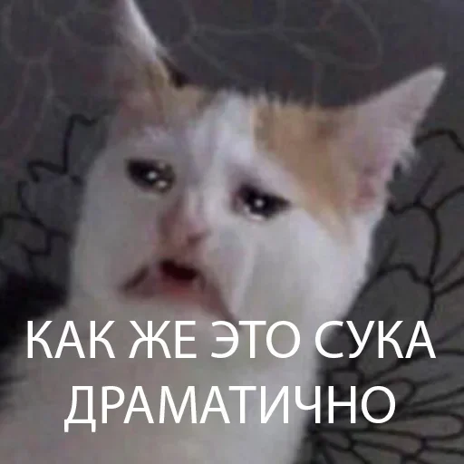 😢 Стикер «1» для Telegram