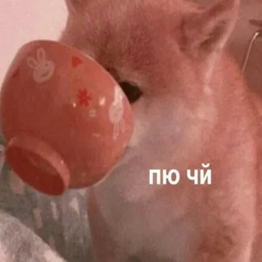 ☕ Стикер «1» для Telegram
