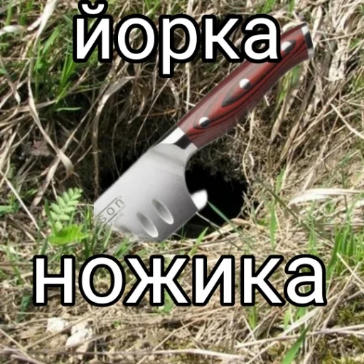 🦔 Стикер «Спуч - Апуч» для Telegram