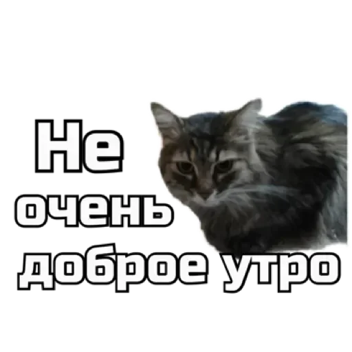 😵‍💫 Стикер «СпутниКот» для Telegram