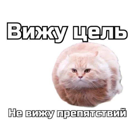 💨 Стикер «СпутниКот» для Telegram