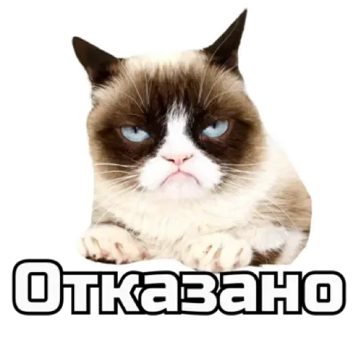 ➖ Стикер «СпутниКот» для Telegram
