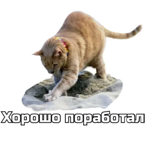 💩 Стикер «СпутниКот» для Telegram