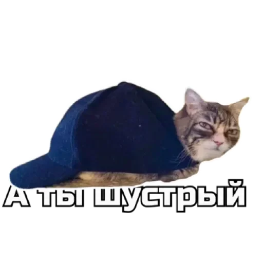 🐢 Стикер «СпутниКот» для Telegram