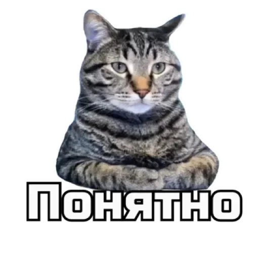 👌 Стикер «СпутниКот» для Telegram