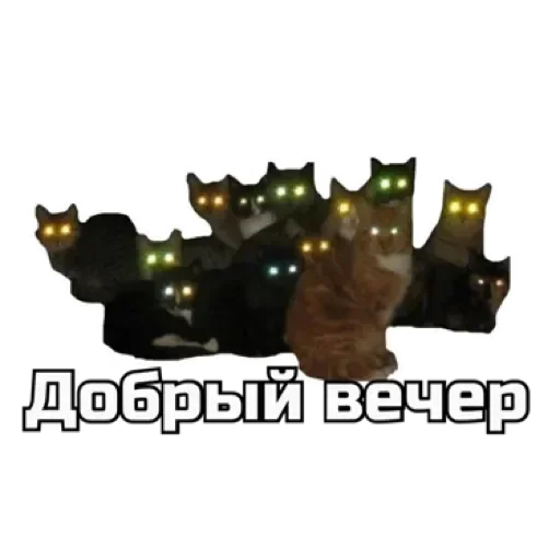 🌙 Стикер «СпутниКот» для Telegram