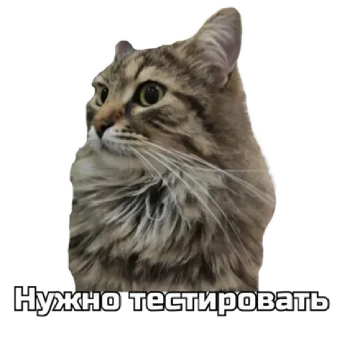 😼 Стикер «СпутниКот» для Telegram