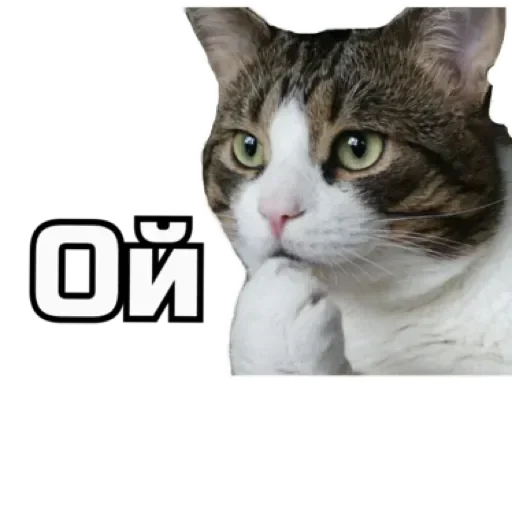 🙊 Стикер «СпутниКот» для Telegram