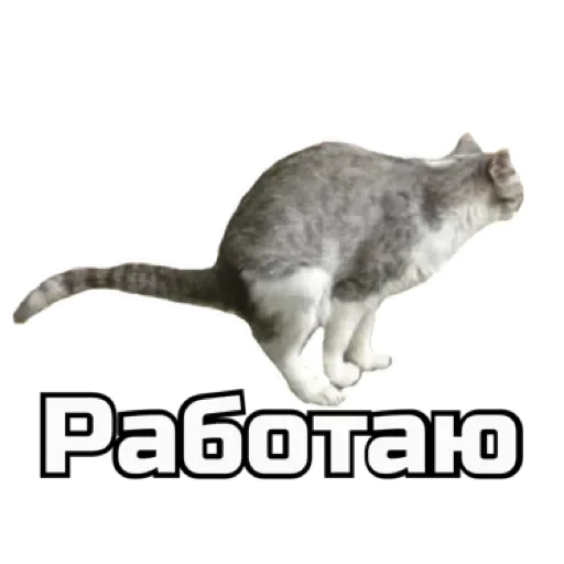 💩 Стикер «СпутниКот» для Telegram