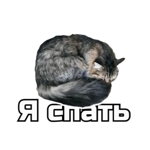 🛌 Стикер «СпутниКот» для Telegram