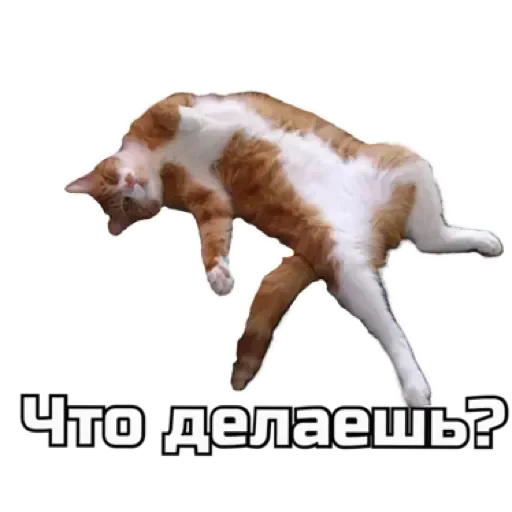 🙃 Стикер «СпутниКот» для Telegram
