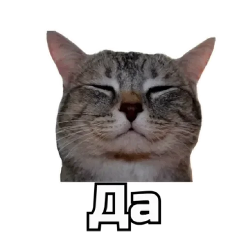 ✅ Стикер «СпутниКот» для Telegram