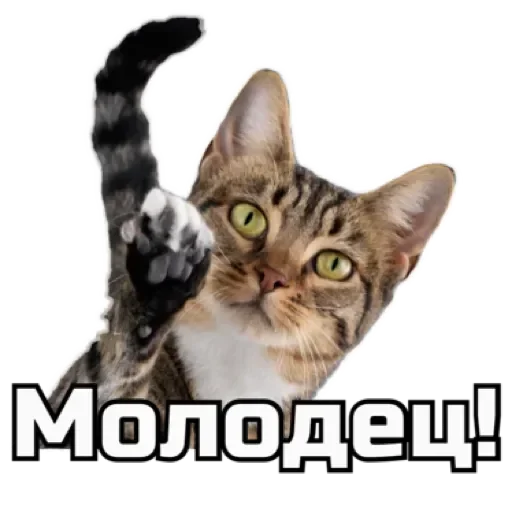 👏 Стикер «СпутниКот» для Telegram