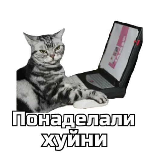 🤬 Стикер «СпутниКот» для Telegram