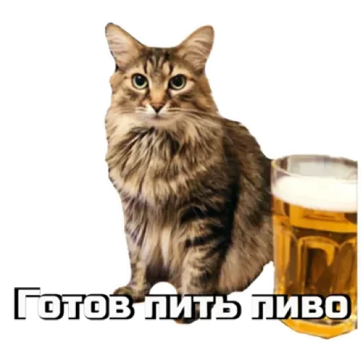 🍻 Стикер «СпутниКот» для Telegram