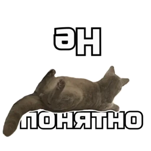 😐 Стикер «СпутниКот» для Telegram