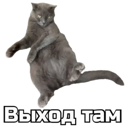 🖕 Стикер «СпутниКот» для Telegram