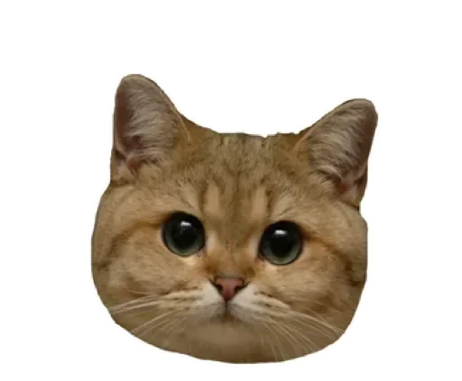 😠 Стикер «СпутниКот» для Telegram