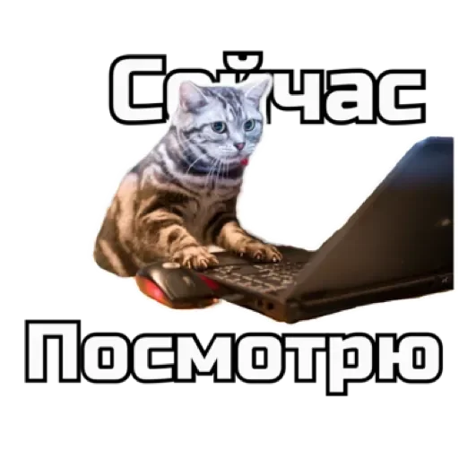 🕐 Стикер «СпутниКот» для Telegram