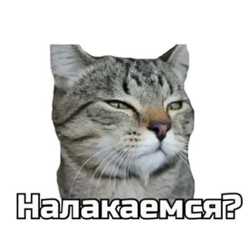 🍸 Стикер «СпутниКот» для Telegram